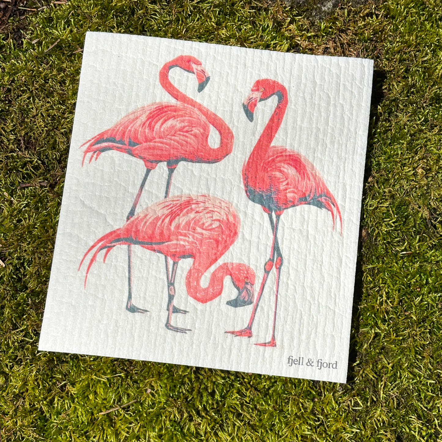 Flamingo Flock Fest