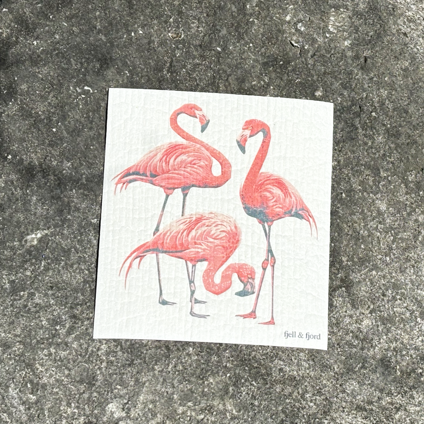 Flamingo Flock Fest